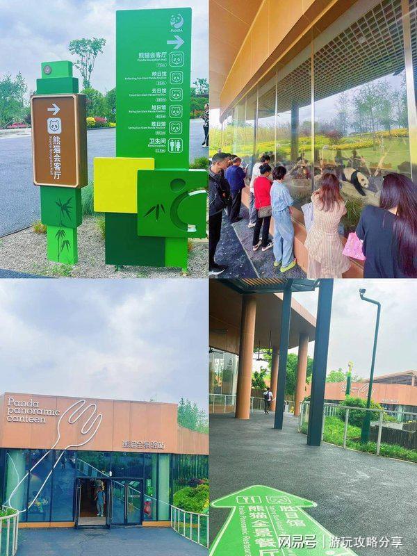 三天要多少钱 成都四日游【必读旅游指南】PG麻将胡了免费试玩模拟器两个人去成都玩(图4)