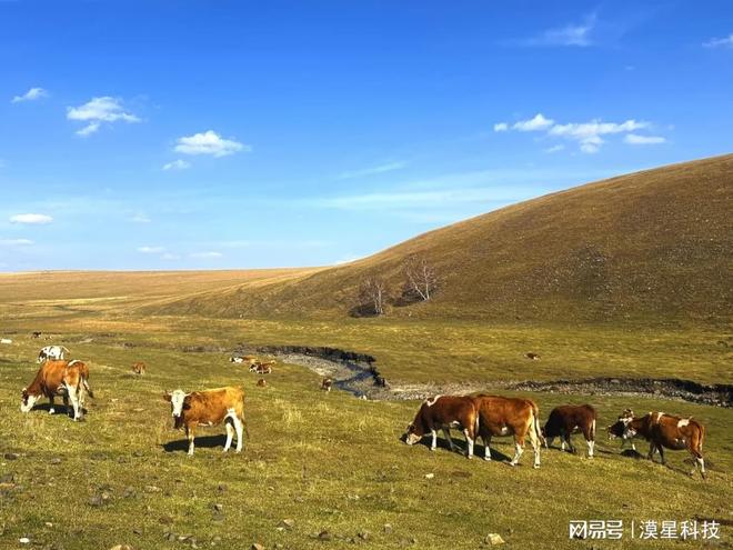 社第二是它!金旅第二烤全羊蒙古包全含麻将胡了2试玩模拟器内蒙古旅游旅行(图3) 社第二是它!金旅第二烤全羊蒙古包全含麻将胡了2试玩模拟器内蒙古旅游旅行(图3)