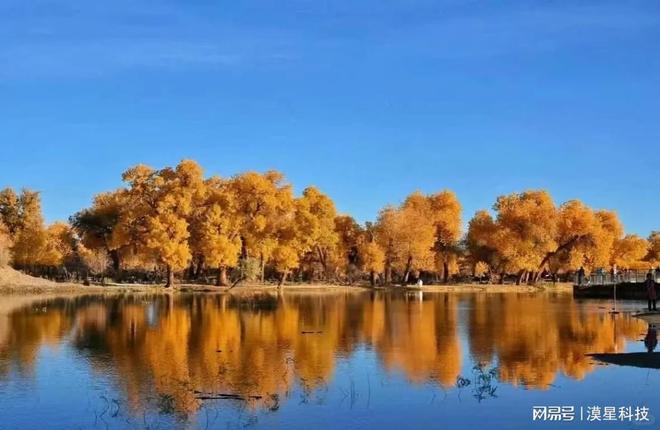 社第二是它！金旅第二烤全羊蒙古包全含麻将